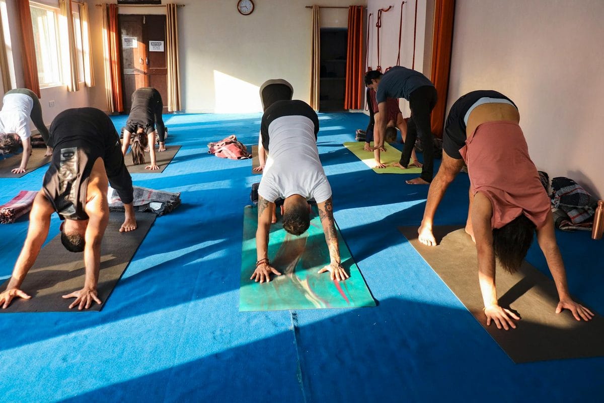 Hatha Yoga Vinyasa