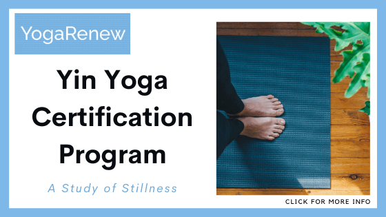 Yin Yoga Teacher Training Online - YogaRenew
