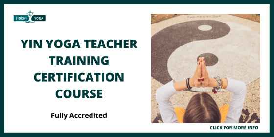 Yin Yoga Teacher Training Online - Siddhi Yoga