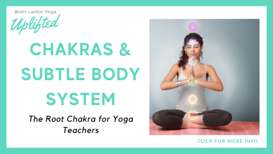chakra courses online - The Chakras & Subtle Body Course