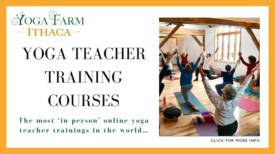 online yoga teacher training - Yoga Farm Ithaca