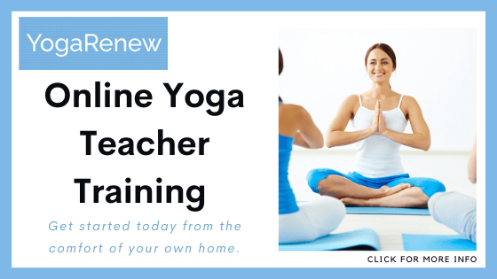 online yoga teacher training - Yoga Renew