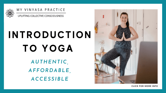 best online yoga classes - My Vinyasa Yoga Practice – Introduction to Yoga