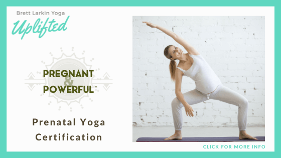 prenatal yoga instructor certification online - Brett Larkin
