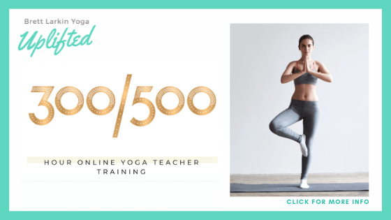 Brett Larkin Yoga Review - 300-500-Hour Yoga Teacher Training