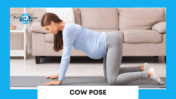 Prenatal Yoga Poses - The Bitlasana
