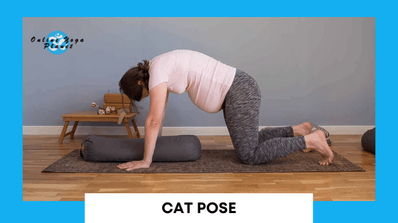 Prenatal Yoga Poses - The Marjaryasana