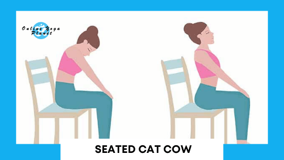 Ten Most Common Yin Yoga Poses - Seated Cat Cow