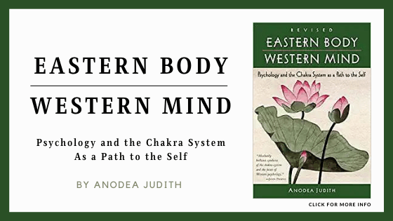 best yoga books for beginners - Eastern Body Westen Mind – Andonea Judith