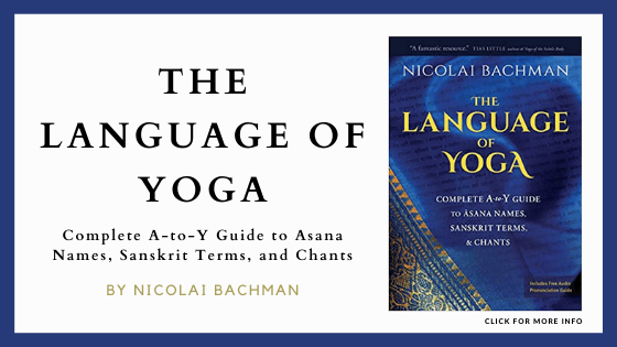 best yoga books for beginners - The Language of Yoga – Nicolai Bachman