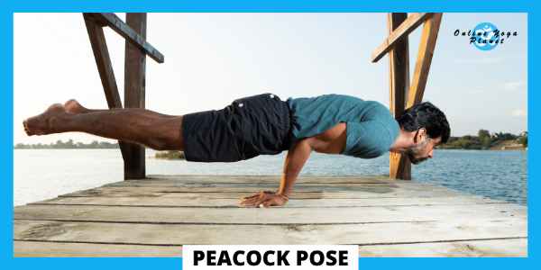 Advanced Yoga Poses - Peacock Pose (Mayurasana)