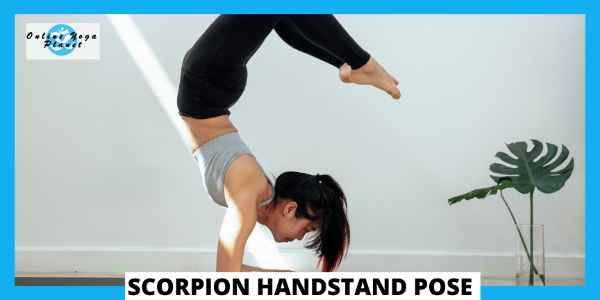 Advanced Yoga Poses - Scorpion Handstand Pose (Vrschikasana)