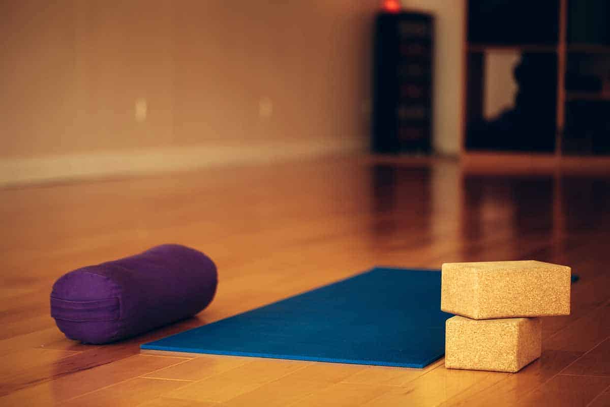 Alo Yoga Blocks