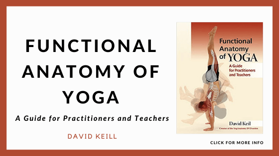 Anatomy Books for Yoga Teacher Training - Functional Anatomy of Yoga - A Guide for Practitioners and Teachers by David Keil