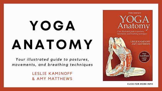 Anatomy Books for Yoga Teacher Training - Yoga Anatomy by Leslie Kaminoff and Amy Matthews