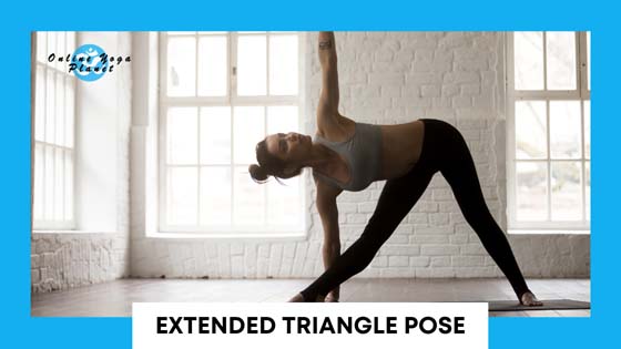 Ashtanga Yoga Poses - Extended Triangle Pose