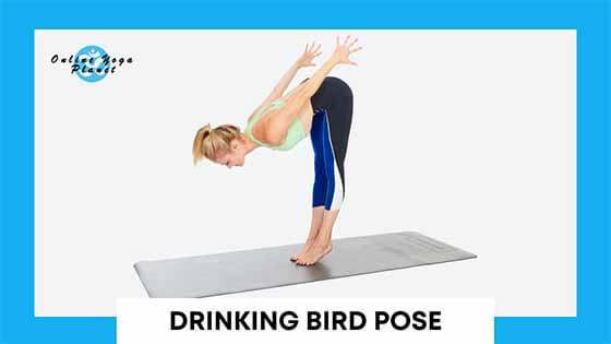 Intermediate Yoga Poses - Drinking Bird Pose