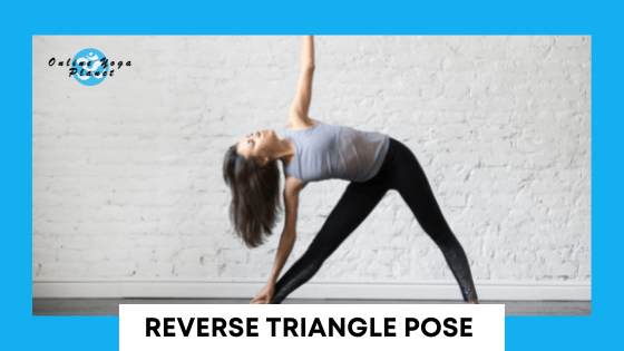 Intermediate Yoga Poses - Reverse Triangle Pose