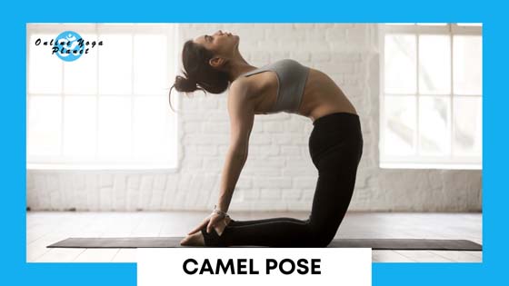 Kundalini Yoga Poses - Camel Pose