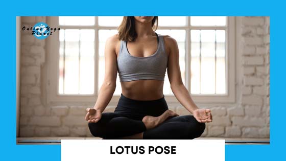 Kundalini Yoga Poses - Lotus Pose