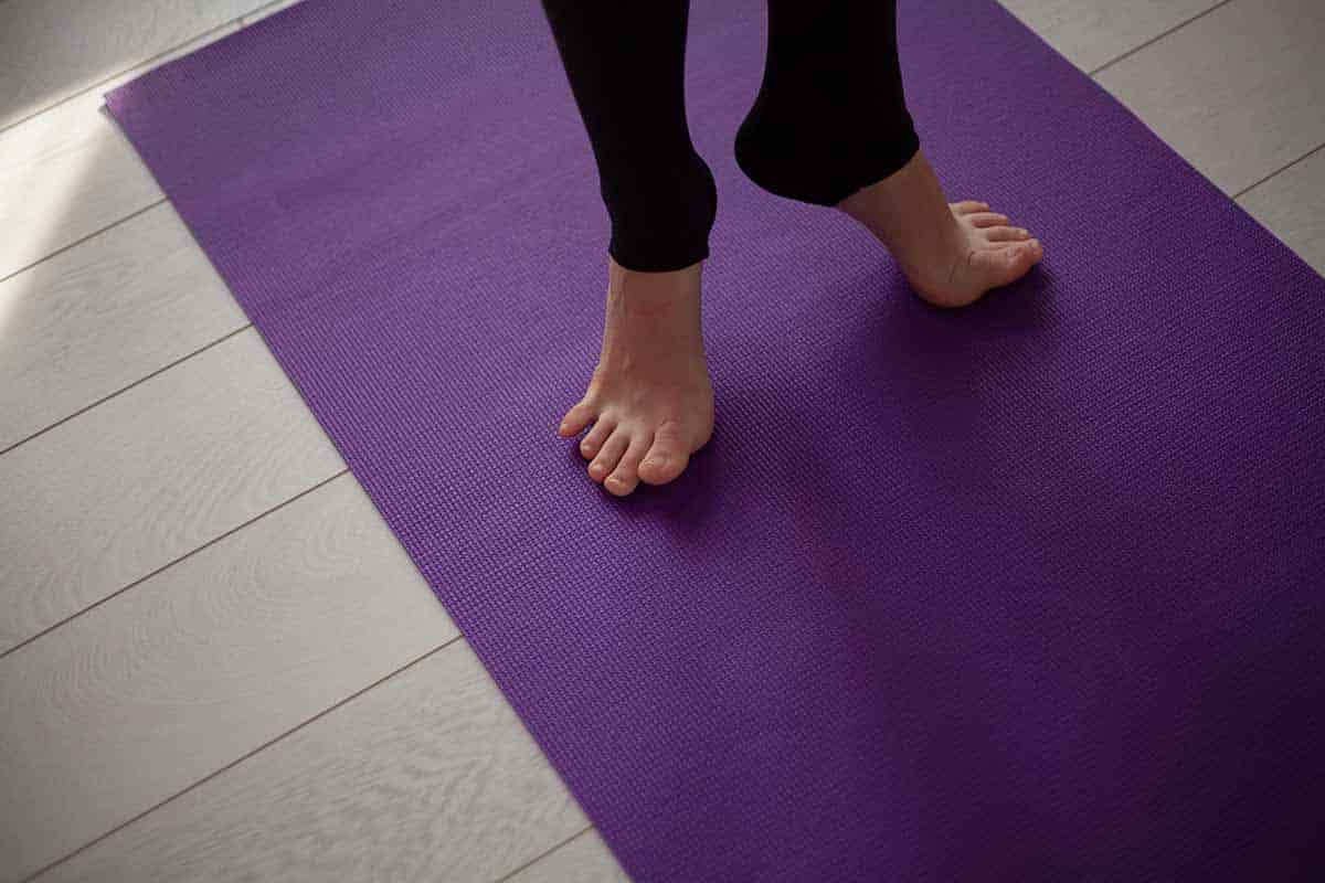 alo yoga mat