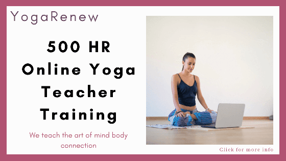 types of yoga training and CE certifications - 500 Hour Yoga Teacher Training