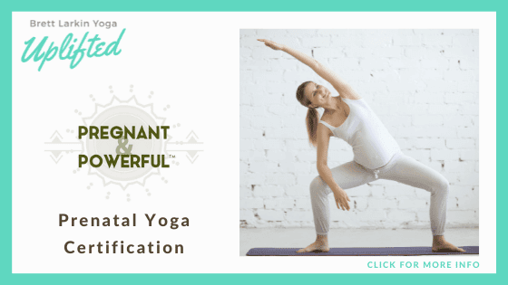 types of yoga training and CE certifications - prenatal-yoga-instructor-certification-online-Brett-Larkin