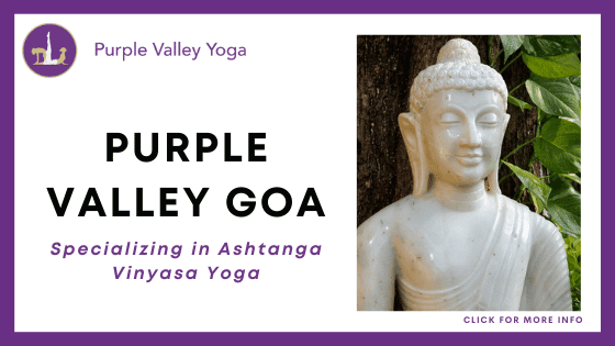 Yoga Retreats In India - Purple Valley Yoga – Yoga Retreat Goa