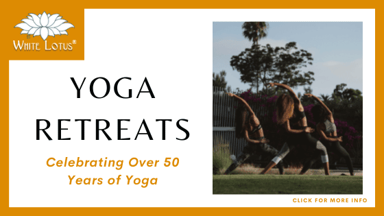 Yoga Retreats in the USA - The Omega Institute Rhinebeck New York
