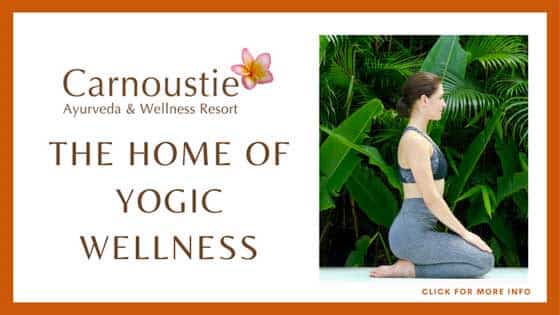 Yoga Retreats in India - Carnoustie Ayurveda & Wellness Resort – Yoga