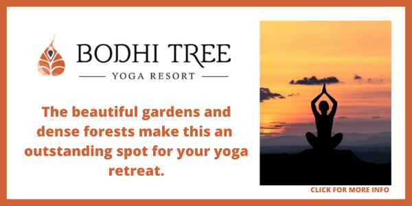 Yoga & Surfing Retreats in Costa Rica - The Bodhi Tree Yoga Resort