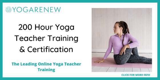 Affordable Online Yoga Teacher Training - Yoga Renew