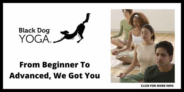 Best Yoga Studios in Los Angeles - Black Dog Yoga