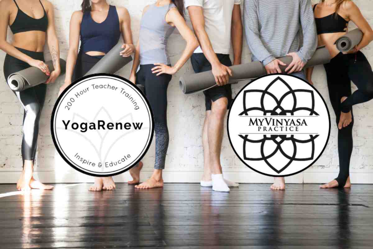 My Vinyasa Practice Vs Yoga Renew
