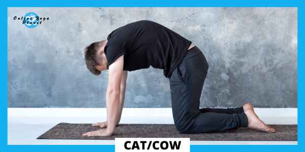 yoga poses for flexibility for beginners - Cat-Cow (Bitilasana Marjaryasana)