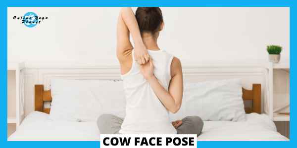 yoga poses for flexibility for beginners - Cow Face Pose (Gomukhasana)
