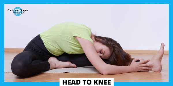 yoga poses for flexibility for beginners - Head to knee (Janu Sirsasana)