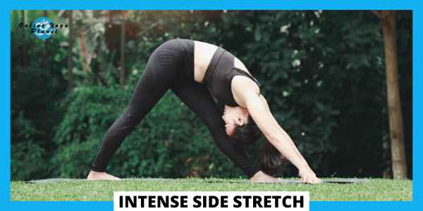 yoga poses for flexibility for beginners - Intense side stretch (Parsvottanasana)
