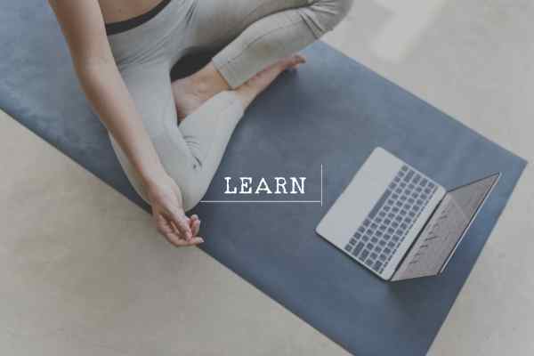 Anatomy With David Keil Course - online comprehensive yoga anatomy course