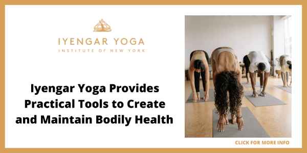 Best Yoga Studios in NYC - Iyengar Yoga Institute of New York