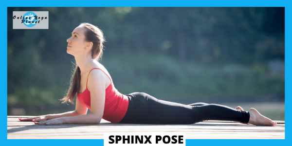 Yoga Poses for Lower Back Pain - Sphinx Pose