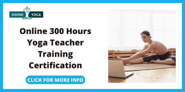 Siddhi Yoga Online 300 Hours Yoga Teacher Training Certification