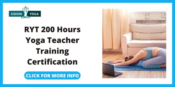 Siddhi Yoga RYT 200 Hours Yoga Teacher Training Certification