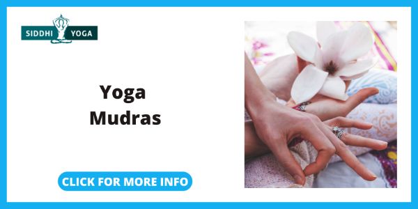 Siddhi Yoga Yoga Mudras