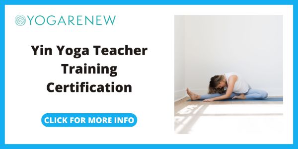 Yoga Renew Yin Yoga Teacher Training Certification
