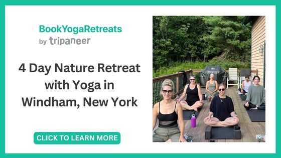 Best Yoga Teacher Trainings in New York - Mountain Dog Yoga