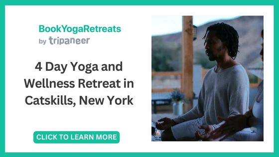 Best Yoga Teacher Trainings in New York - SIRKO Fitness
