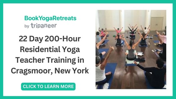 Best Yoga Teacher Trainings in New York - Shakti Yoga & Living