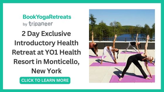 Best Yoga Teacher Trainings in New York - YO1 Health Resort