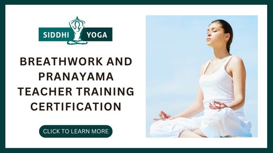 Best Pranayama Yoga Courses Online - Siddhi Yoga
